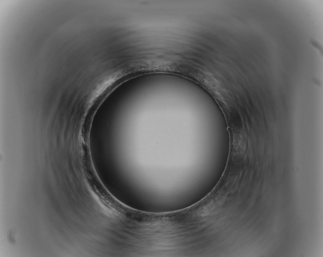 X0000096460674200801311512