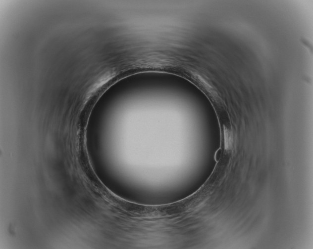 X0000096460675200801311512