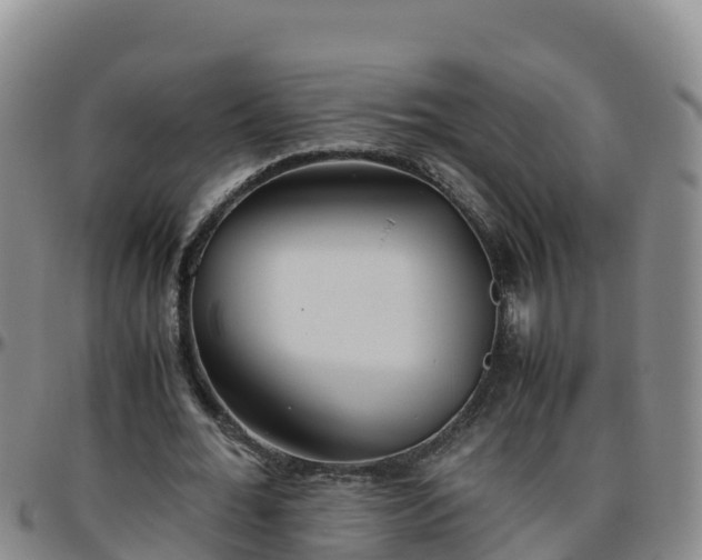 X0000096460676200801311512