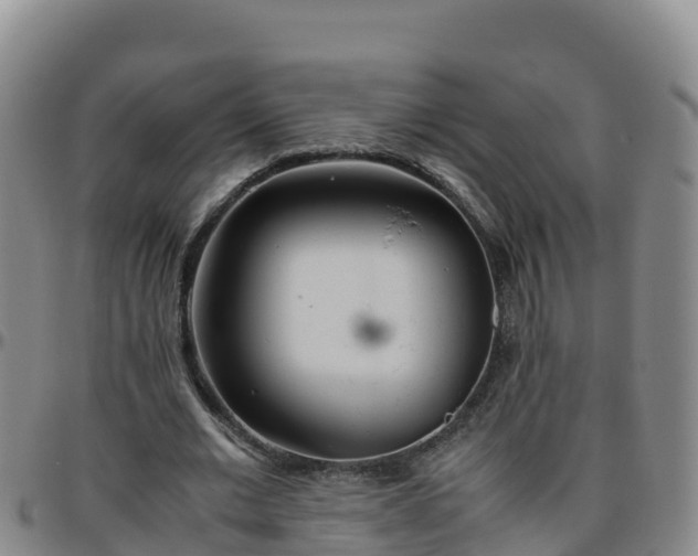 X0000096460677200801311512