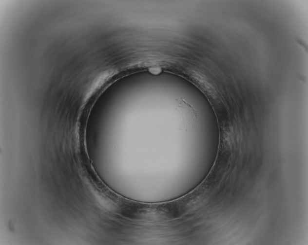 X0000096460678200801311512
