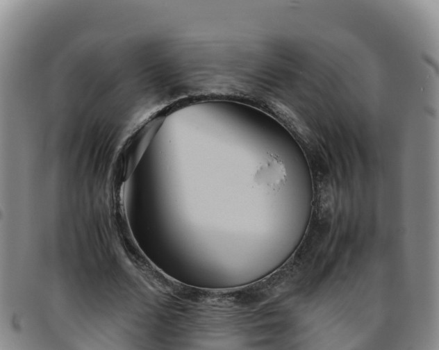 X0000096460680200801311512