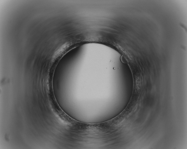 X0000096460682200801311512