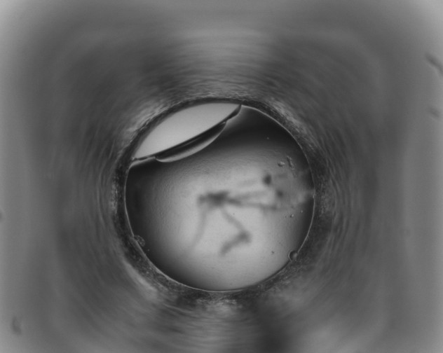 X0000096460683200801311512