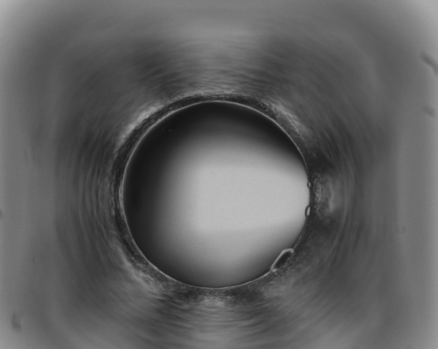 X0000096460684200801311512