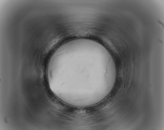 X0000096460687200801311512