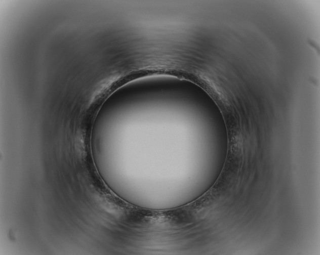 X0000096460688200801311512