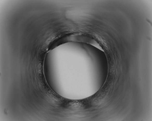 X0000096460689200801311512
