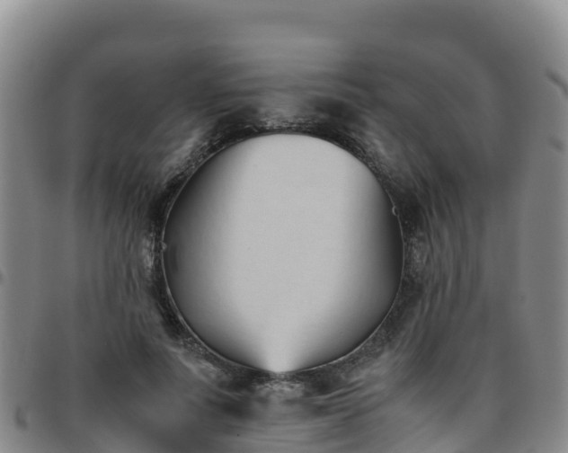 X0000096460691200801311512