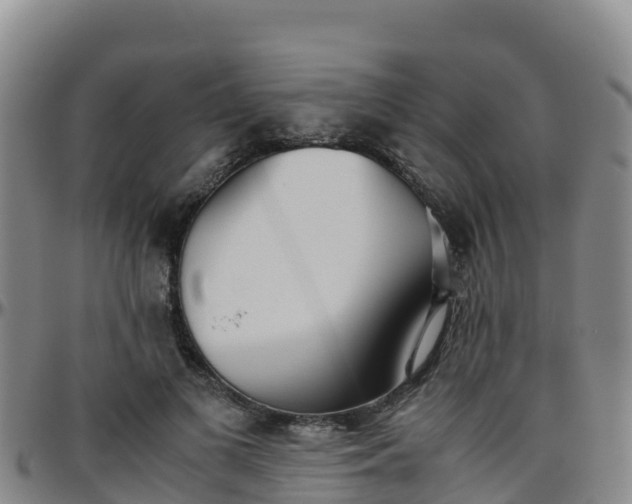 X0000096460693200801311512
