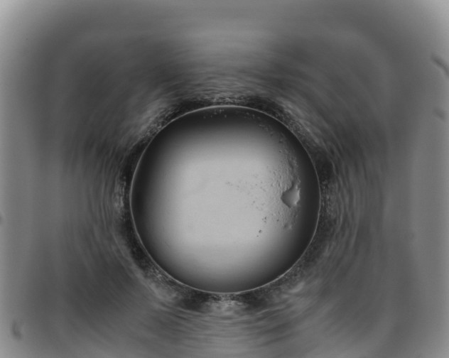 X0000096460695200801311512