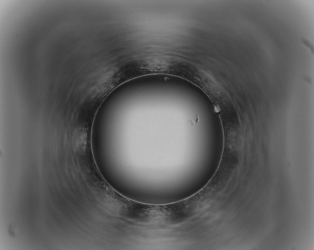 X0000096460697200801311512