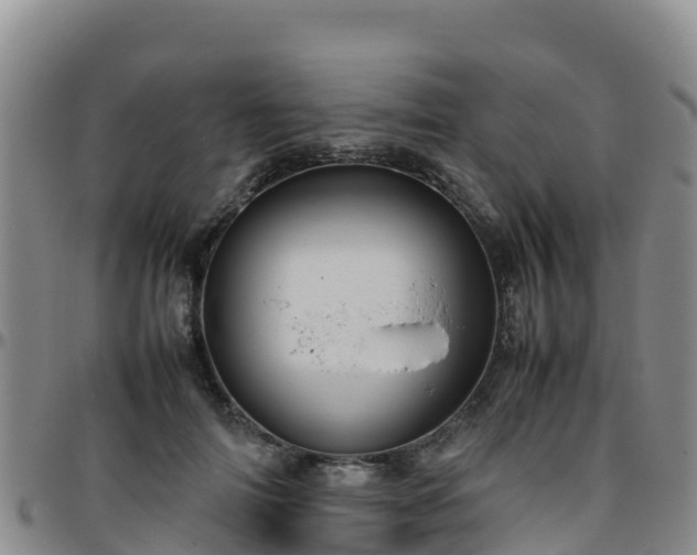 X0000096460698200801311512