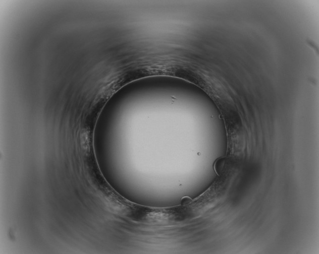 X0000096460699200801311512