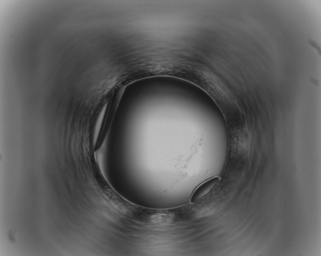 X0000096460700200801311512
