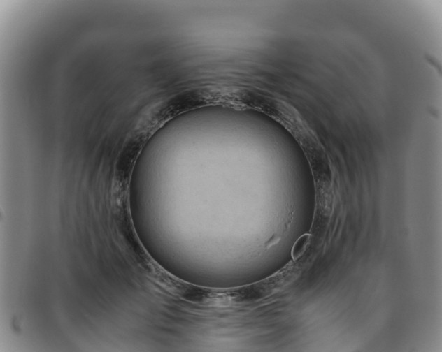 X0000096460701200801311512