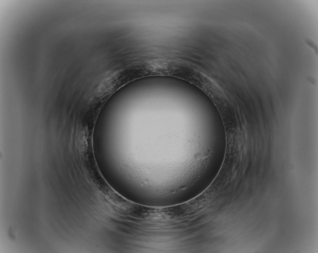 X0000096460702200801311512