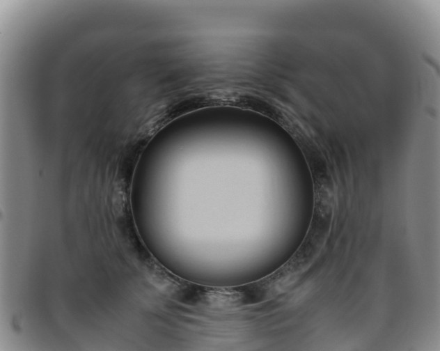 X0000096460707200801311512