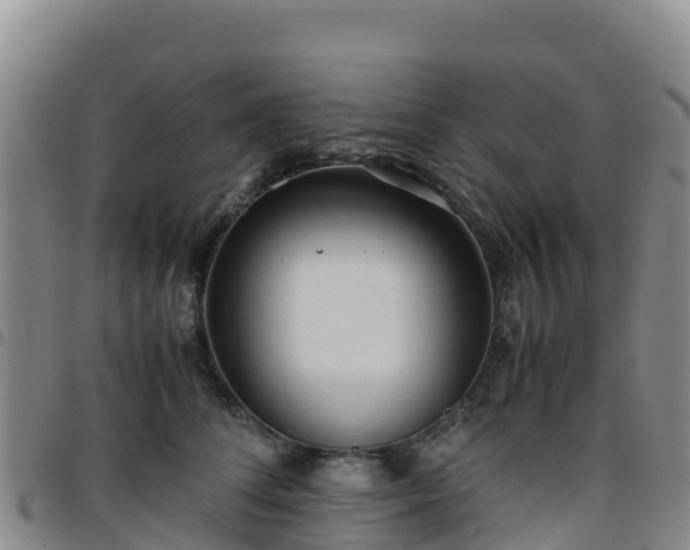 X0000096460708200801311512