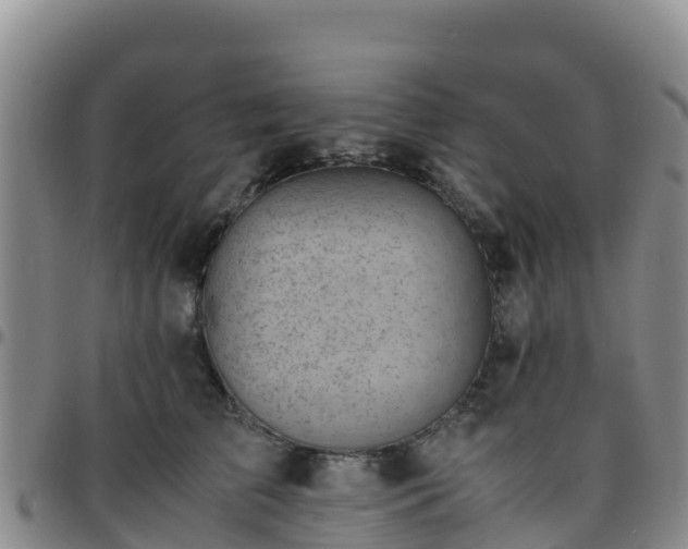 X0000096460709200801311512