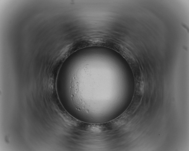 X0000096460710200801311512
