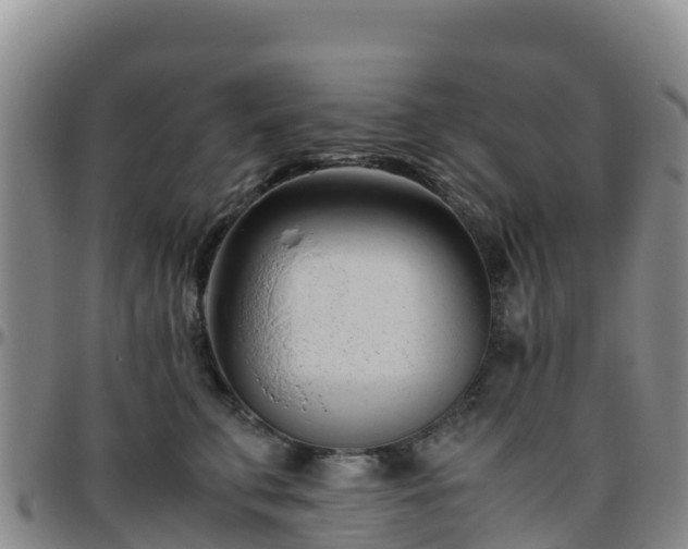 X0000096460711200801311512