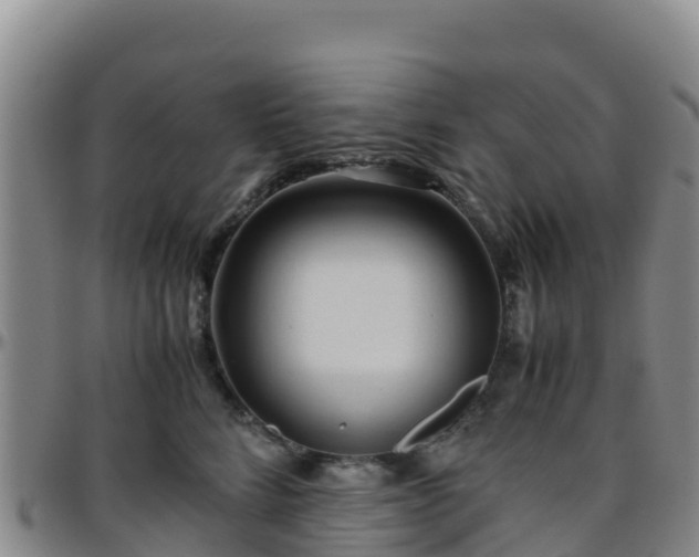 X0000096460712200801311512
