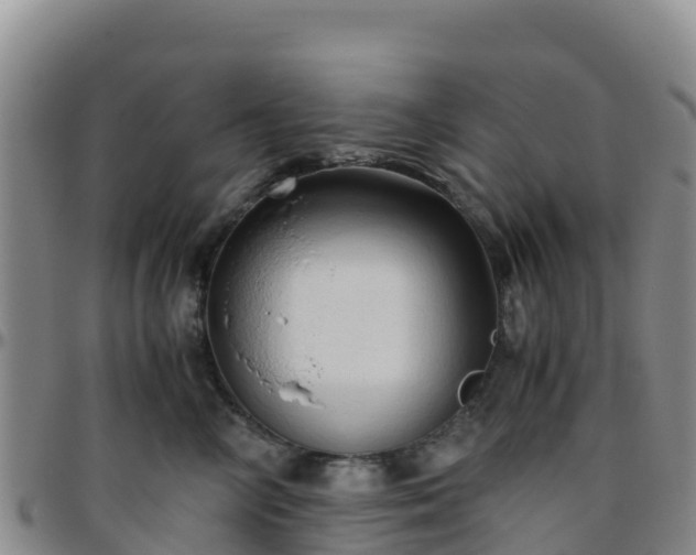 X0000096460714200801311512