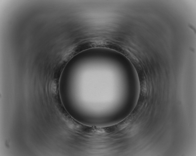 X0000096460715200801311512