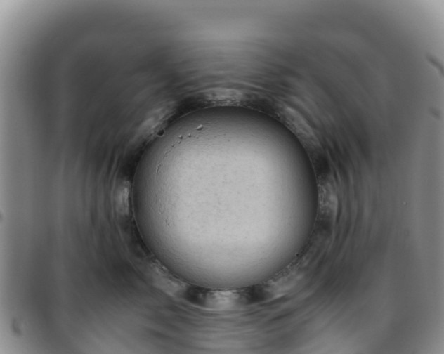 X0000096460717200801311512