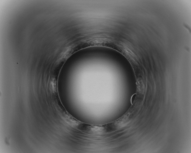 X0000096460718200801311512