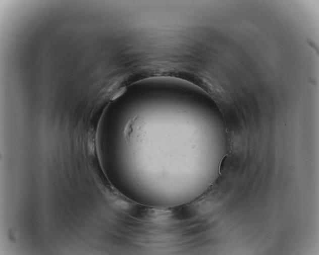 X0000096460719200801311512