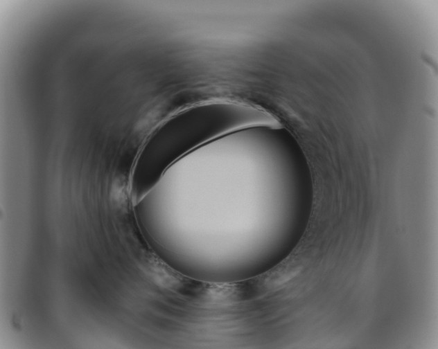 X0000096460720200801311512