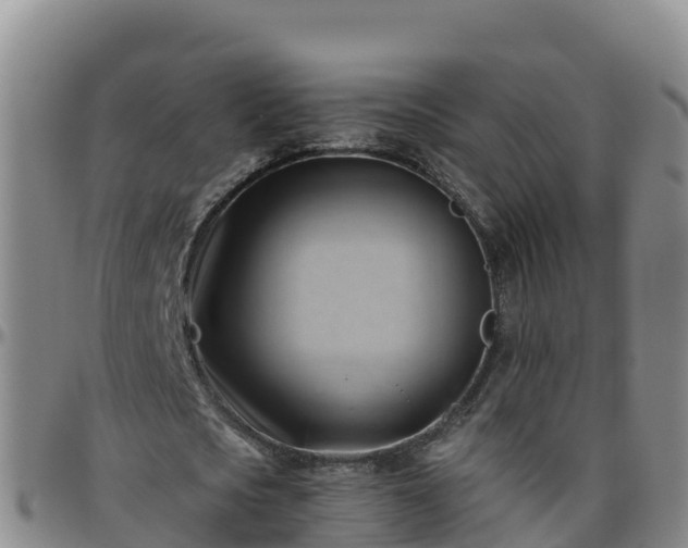 X0000096460721200801311511