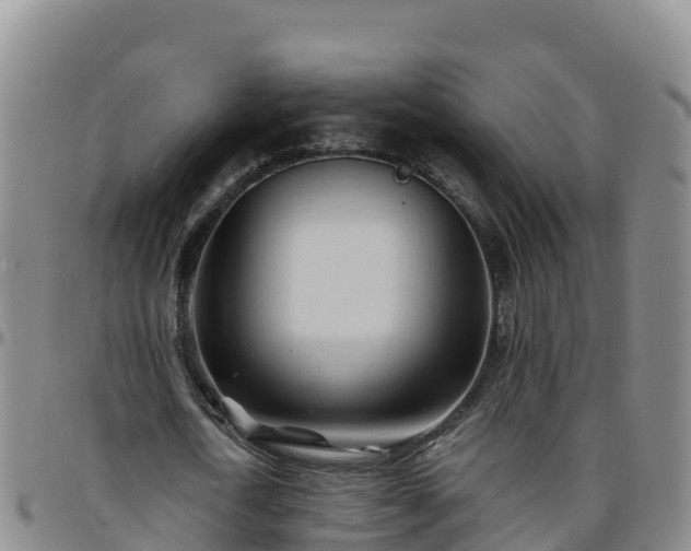 X0000096460722200801311511
