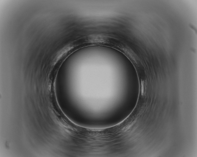 X0000096460723200801311511