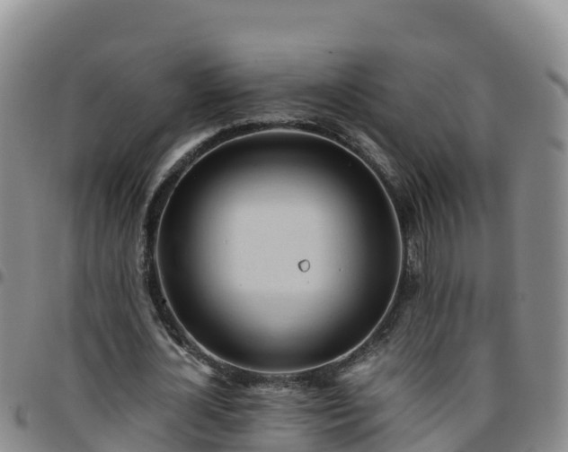 X0000096460724200801311511