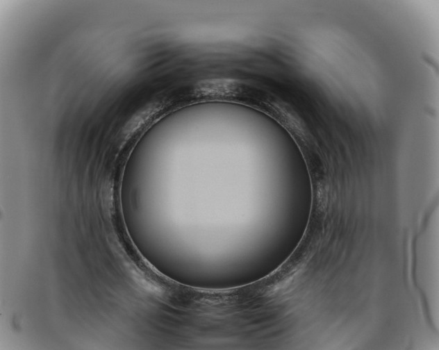 X0000096460725200801311511