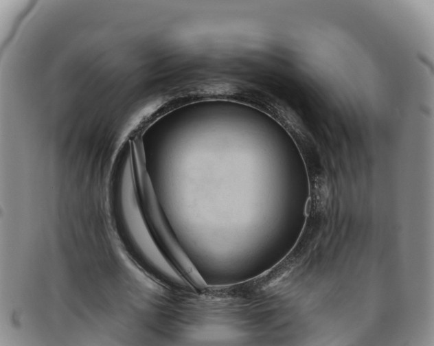 X0000096460726200801311511