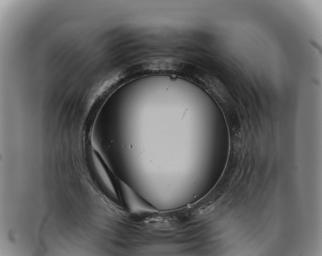 X0000096460727200801311511