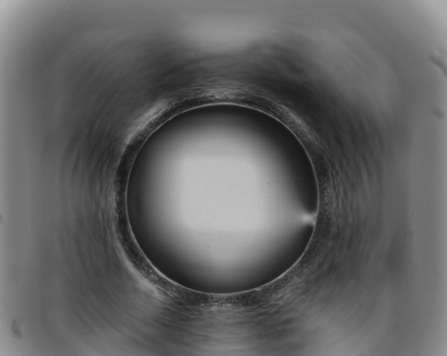 X0000096460730200801311511
