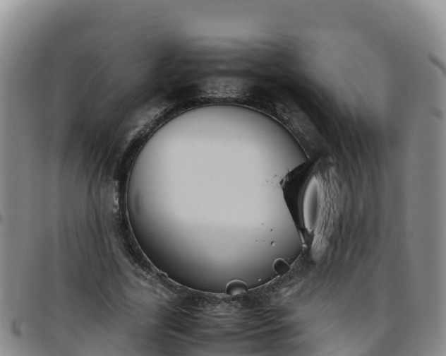X0000096460731200801311511