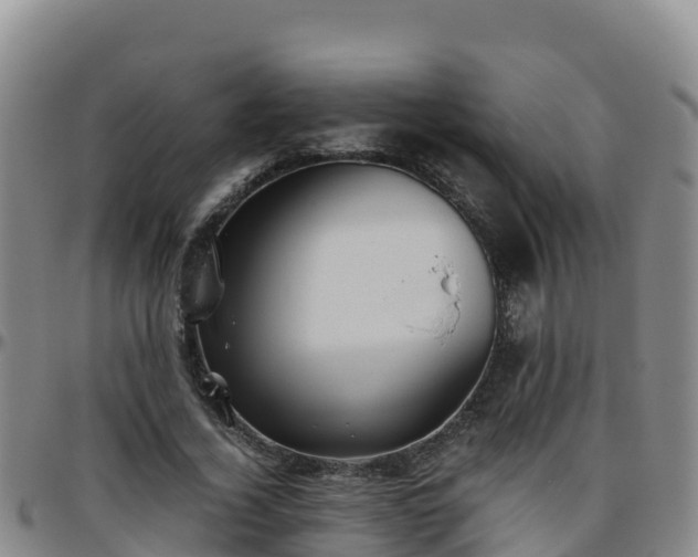X0000096460732200801311511