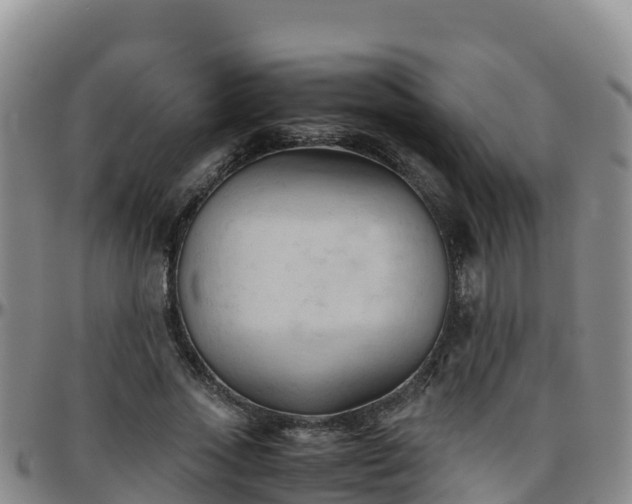 X0000096460733200801311511