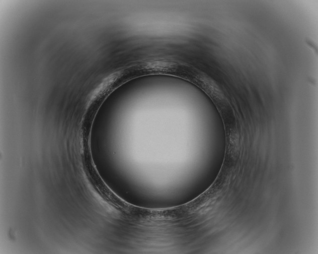 X0000096460734200801311511