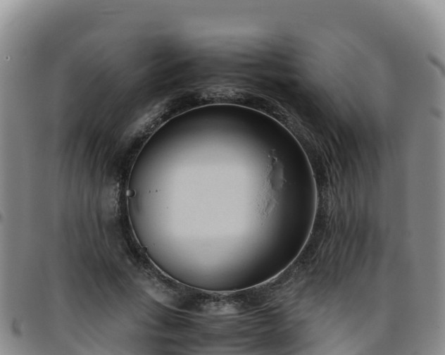 X0000096460735200801311511