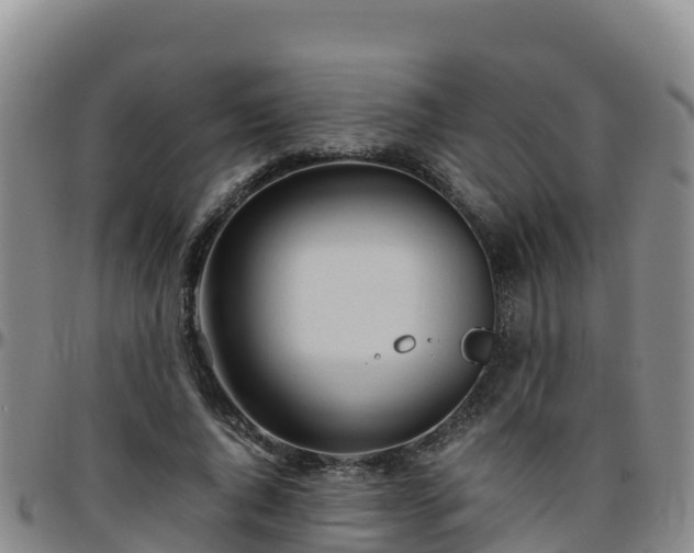 X0000096460736200801311511