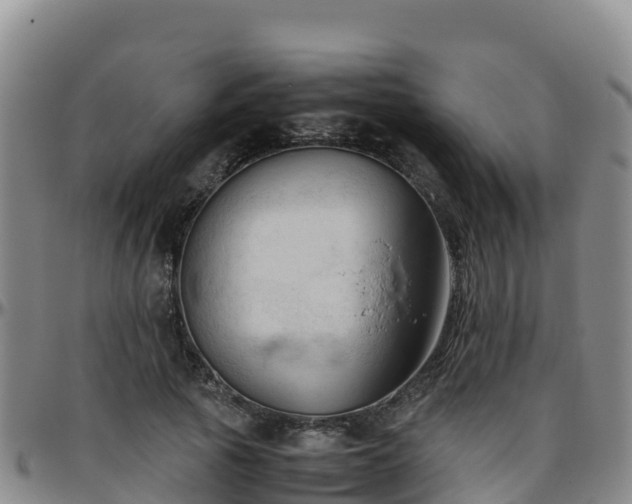 X0000096460737200801311511
