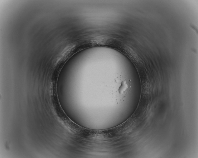 X0000096460738200801311511