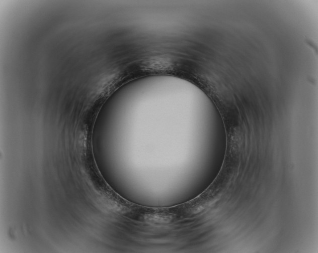 X0000096460739200801311511